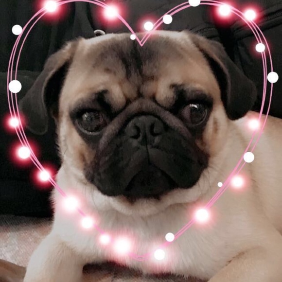 Meet your Posher, Sally - Picture 2 of 16